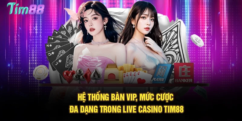 Hệ thống bàn VIP, mức cược đa dạng trong live casino Tim88