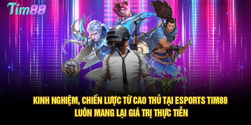 Kinh nghiệm, chiến lược từ cao thủ tại Esports Tim88 luôn mang lại giá trị thực tiễn