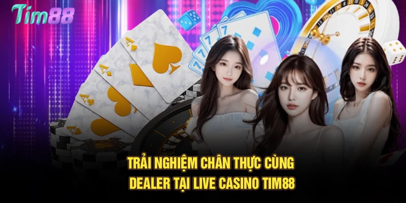 Trải nghiệm chân thực cùng dealer tại live casino Tim88