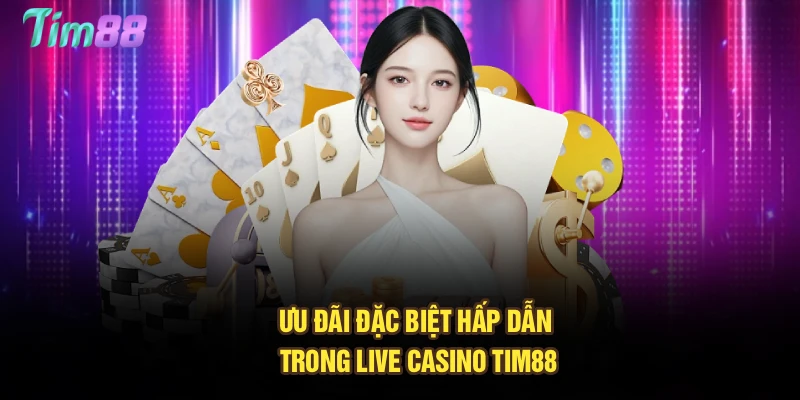 Ưu đãi đặc biệt hấp dẫn trong live casino Tim88